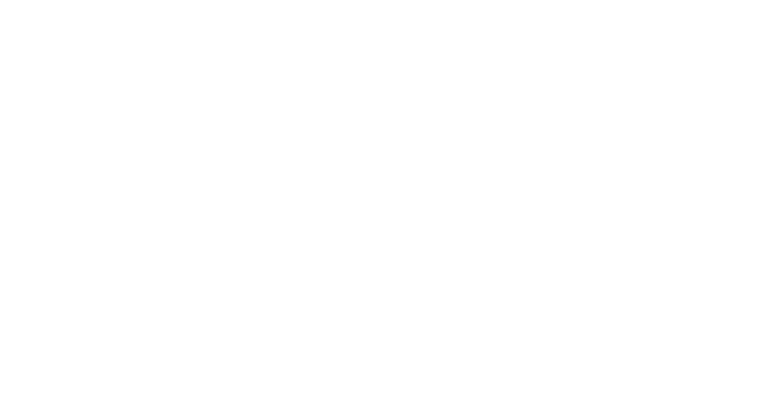 The Marshall Team